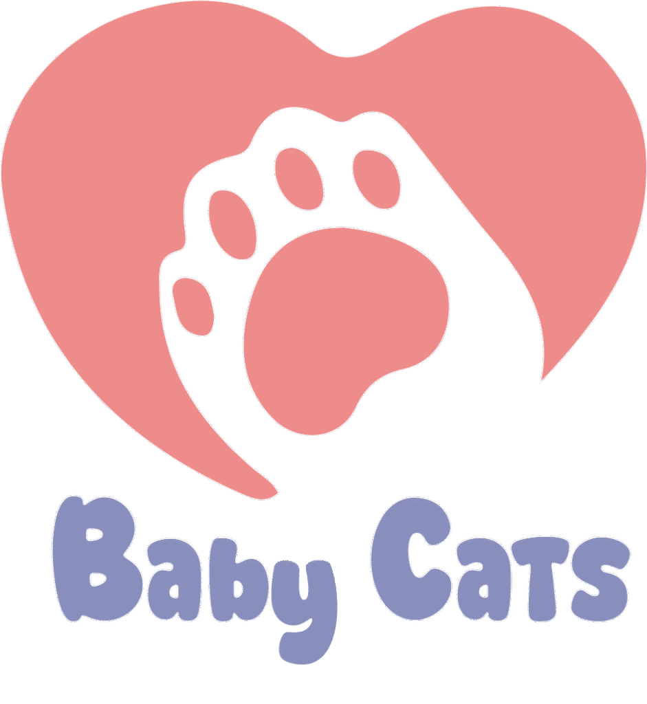 baby cats