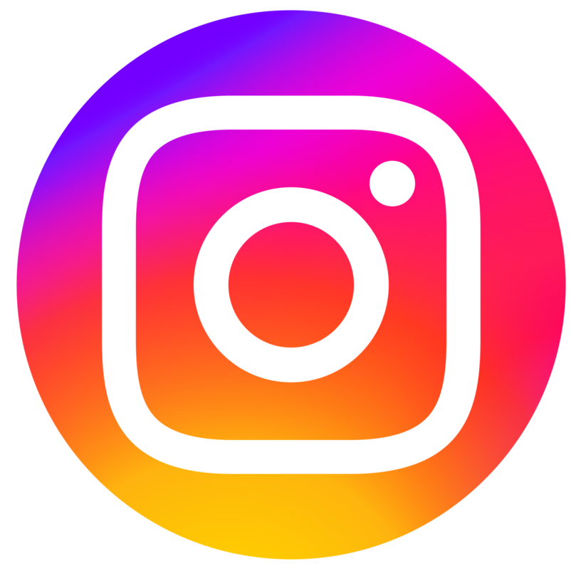 Instagram baby cats