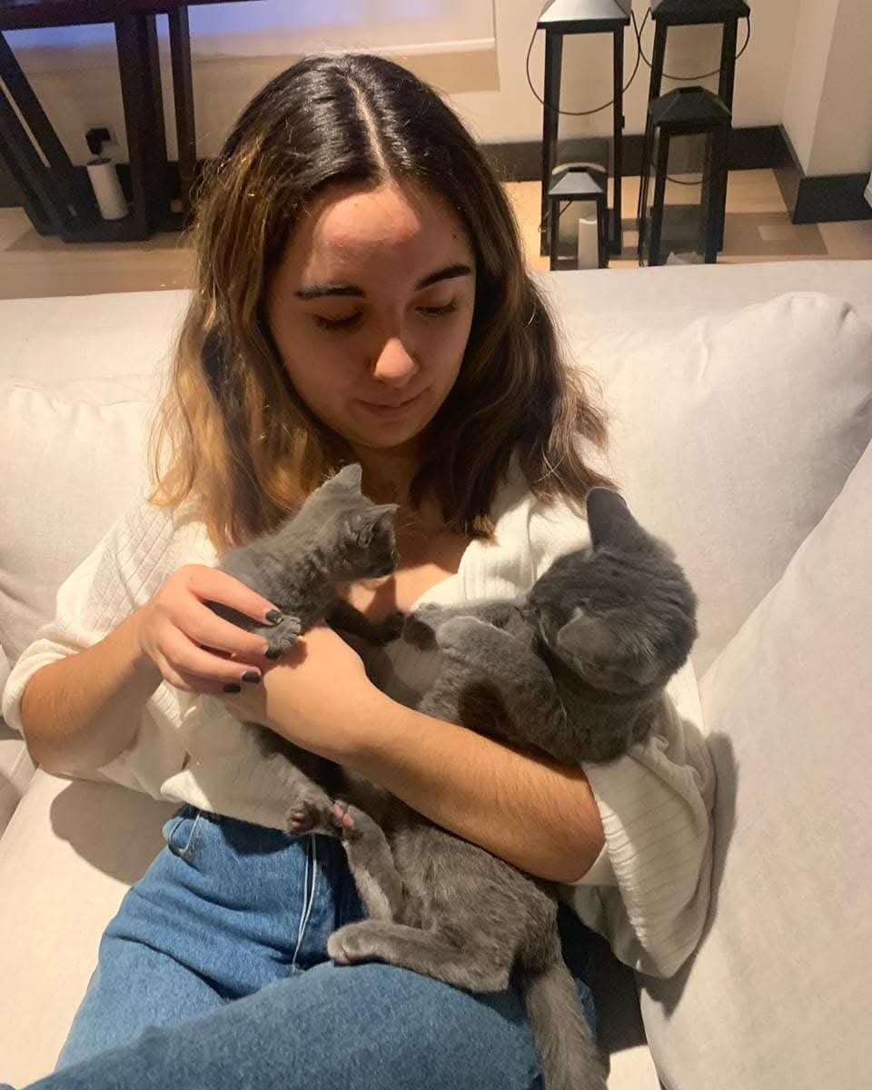 Raza de gato ruso